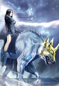 王的宠妃